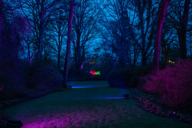 LightUp! – Licht, Kunst & Magie im Rhododendron-Park