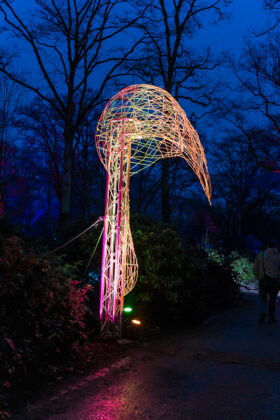 LightUp! – Licht, Kunst & Magie im Rhododendron-Park