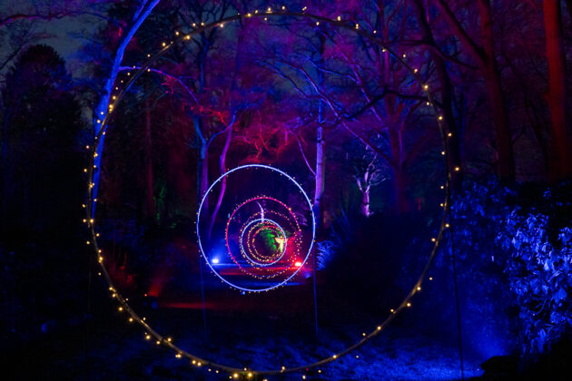 LightUp! – Licht, Kunst & Magie im Rhododendron-Park