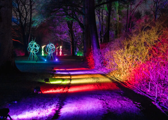 LightUp! – Licht, Kunst & Magie im Rhododendron-Park