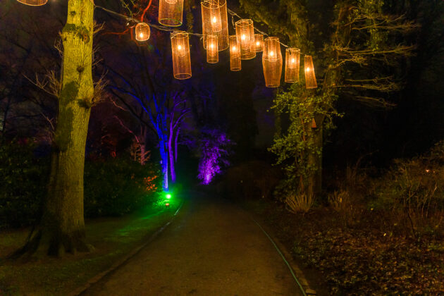 LightUp! – Licht, Kunst & Magie im Rhododendron-Park