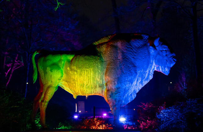 LightUp! – Licht, Kunst & Magie im Rhododendron-Park