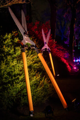LightUp! – Licht, Kunst & Magie im Rhododendron-Park