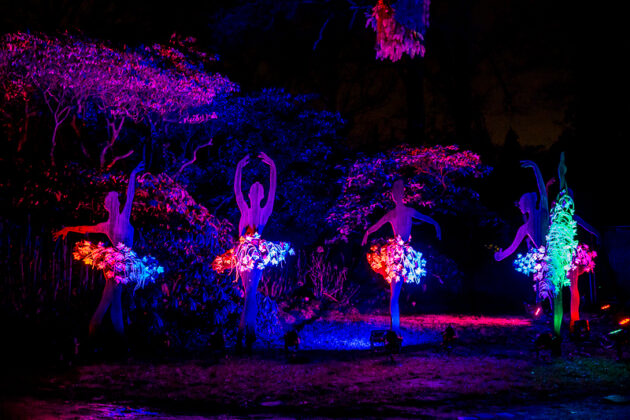 LightUp! – Licht, Kunst & Magie im Rhododendron-Park