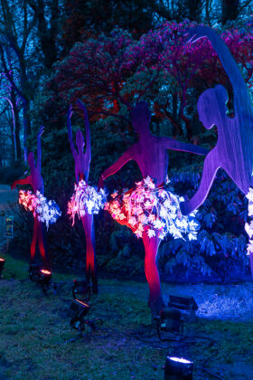 LightUp! – Licht, Kunst & Magie im Rhododendron-Park