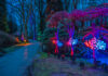 LightUp! – Magische Licht- und Kunstinstallation im Rhododendron-Park LightUp! – Licht, Kunst & Magie im Rhododendron-Park