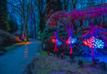 LightUp! – Magische Licht- und Kunstinstallation im Rhododendron-Park LightUp! – Licht, Kunst & Magie im Rhododendron-Park