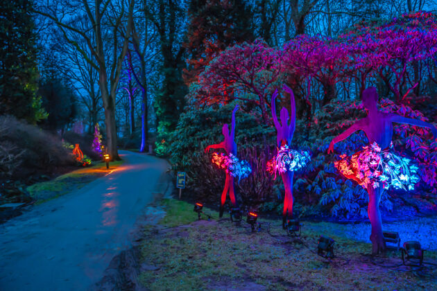 LightUp! – Licht, Kunst & Magie im Rhododendron-Park