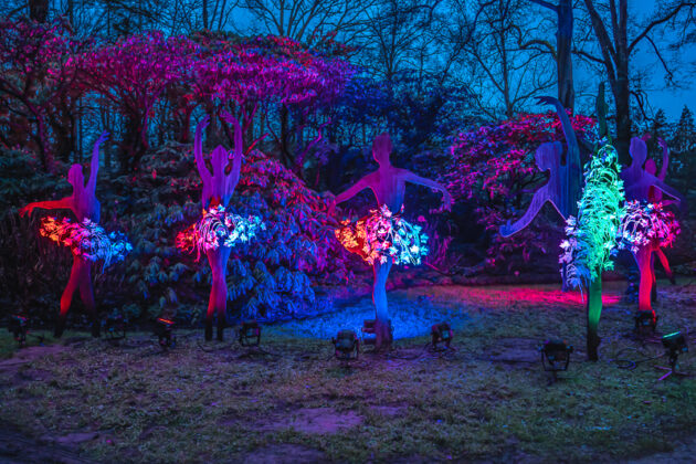 LightUp! – Licht, Kunst & Magie im Rhododendron-Park