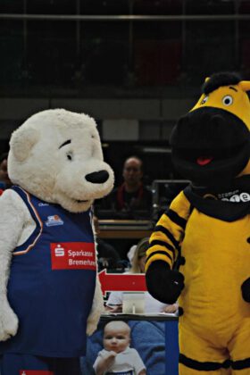 Hanse Game: Eisbären Bremerhaven vs. ALBA Berlin