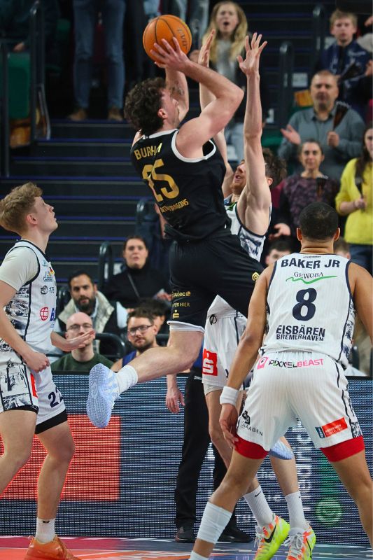 Eisbären Bremerhaven vs. Artland Dragons