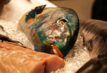 fish international meets GASTRO IVENT: Treffpunkt der Seafood- und Gastro-Branche fish international 2024